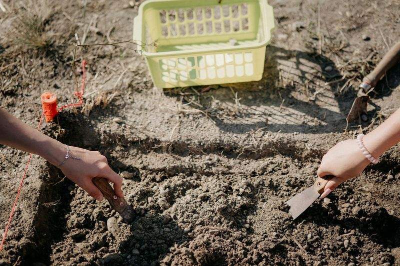 グリーンフィールド株式会社 - Image 7